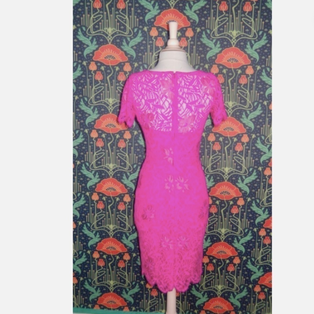 Lela Rose Hot Bright Pink Guipure Lace Shirt Sleeve Pencil Cocktail Dress 2 - Picture 6 of 6